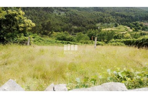 Terra a Cinfaes, Viseu, Cinfaes - € 35.000 | Ref: MC09216 - foto 36
