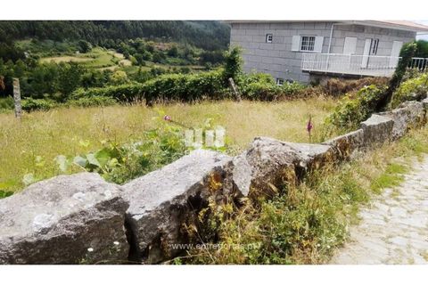 Terra a Cinfaes, Viseu, Cinfaes - € 35.000 | Ref: MC09216 - foto 37