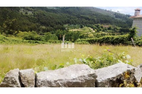 Terra a Cinfaes, Viseu, Cinfaes - € 35.000 | Ref: MC09216 - foto 38