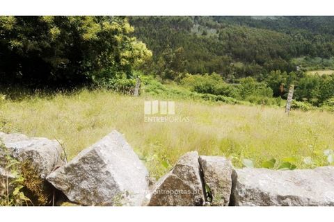Terra a Cinfaes, Viseu, Cinfaes - € 35.000 | Ref: MC09216 - foto 39