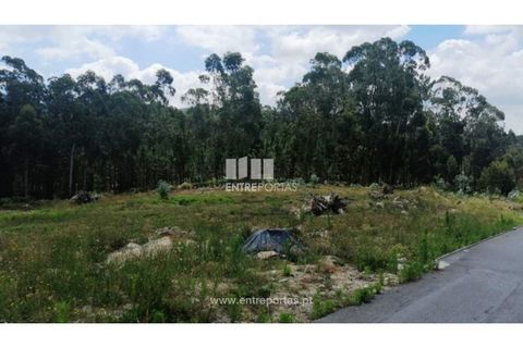 Terra a Barroselas, Viana do Castelo, Barroselas - € 110.000 | Ref: VCM13341 - foto 6