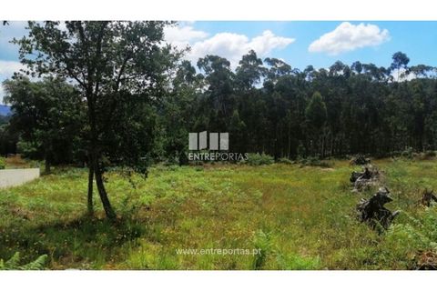 Terra a Barroselas, Viana do Castelo, Barroselas - € 110.000 | Ref: VCM13341 - foto 12