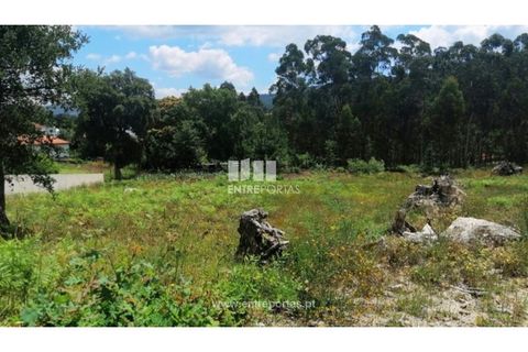 Terra a Barroselas, Viana do Castelo, Barroselas - € 110.000 | Ref: VCM13341 - foto 15