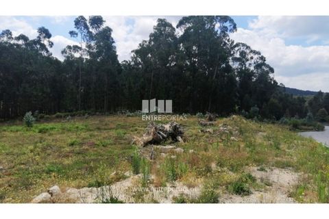 Terra a Barroselas, Viana do Castelo, Barroselas - € 110.000 | Ref: VCM13341 - foto 20