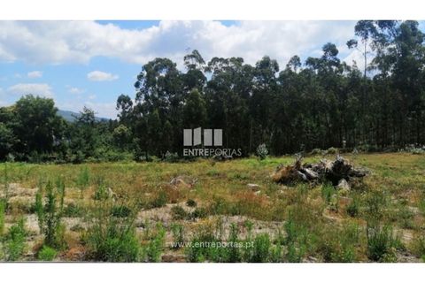 Terra a Barroselas, Viana do Castelo, Barroselas - € 110.000 | Ref: VCM13341 - foto 23
