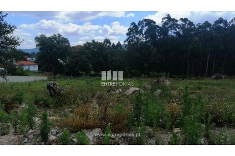 Terra a Barroselas, Viana do Castelo, Barroselas - € 110.000 | Ref: VCM13341 - foto 25