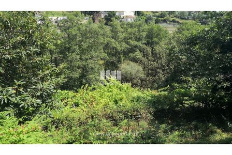 Terra a Barroselas, Viana do Castelo, Barroselas - € 40.000 | Ref: VCC13577 - foto 2