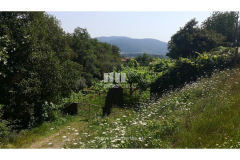 Terra a Barroselas, Viana do Castelo, Barroselas - € 40.000 | Ref: VCC13577 - foto 3