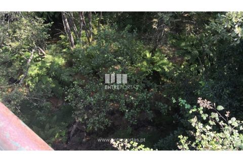 Terra a Barroselas, Viana do Castelo, Barroselas - € 40.000 | Ref: VCC13577 - foto 4