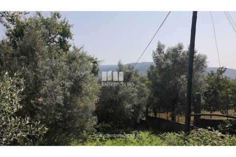 Terra a Barroselas, Viana do Castelo, Barroselas - € 40.000 | Ref: VCC13577 - foto 6