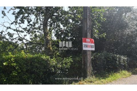 Terra a Barroselas, Viana do Castelo, Barroselas - € 40.000 | Ref: VCC13577 - foto 9