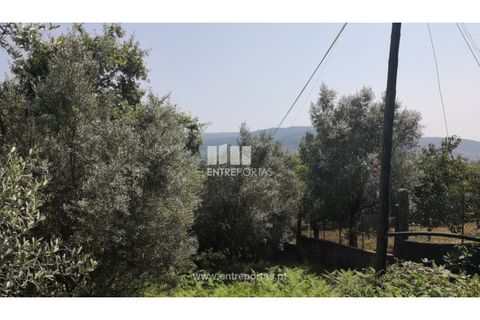 Terra a Barroselas, Viana do Castelo, Barroselas - € 40.000 | Ref: VCC13577 - foto 26