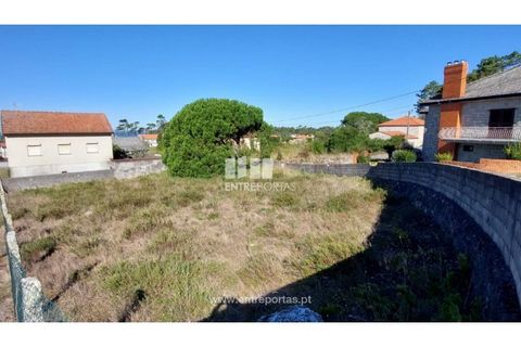 Helårsgrund i Viana do Castelo, Viana do Castelo, Viana do Castelo - € 132.500 | Ref: VCM13413 - foto 13