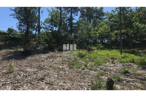 Helårsgrund i Venade e Azevedo, Viana do Castelo, Venade e Azevedo - € 55.000 | Ref: C02393 - foto 2