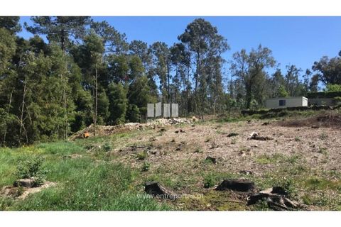 Helårsgrund i Venade e Azevedo, Viana do Castelo, Venade e Azevedo - € 55.000 | Ref: C02393 - foto 6