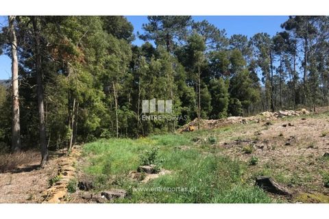 Helårsgrund i Venade e Azevedo, Viana do Castelo, Venade e Azevedo - € 55.000 | Ref: C02393 - foto 7
