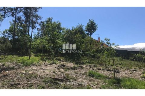 Helårsgrund i Venade e Azevedo, Viana do Castelo, Venade e Azevedo - € 55.000 | Ref: C02393 - foto 9