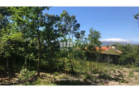 Helårsgrund i Venade e Azevedo, Viana do Castelo, Venade e Azevedo - € 55.000 | Ref: C02393 - foto 14