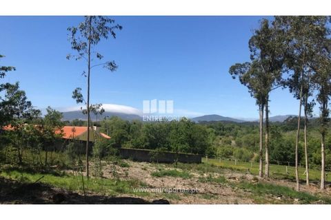 Helårsgrund i Venade e Azevedo, Viana do Castelo, Venade e Azevedo - € 55.000 | Ref: C02393 - foto 15