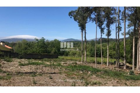 Helårsgrund i Venade e Azevedo, Viana do Castelo, Venade e Azevedo - € 55.000 | Ref: C02393 - foto 16