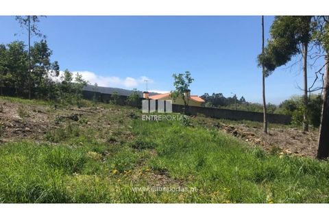Helårsgrund i Venade e Azevedo, Viana do Castelo, Venade e Azevedo - € 55.000 | Ref: C02393 - foto 20