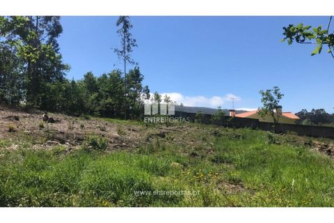 Helårsgrund i Venade e Azevedo, Viana do Castelo, Venade e Azevedo - € 55.000 | Ref: C02393 - foto 21