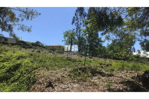 Helårsgrund i Venade e Azevedo, Viana do Castelo, Venade e Azevedo - € 55.000 | Ref: C02393 - foto 22