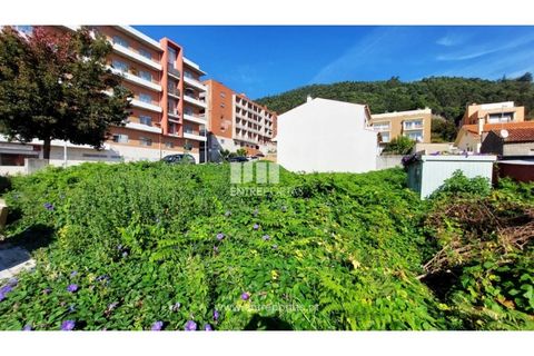 Terra a Areosa, Viana do Castelo, Areosa - € 78.000 | Ref: VCM13448 - foto 3