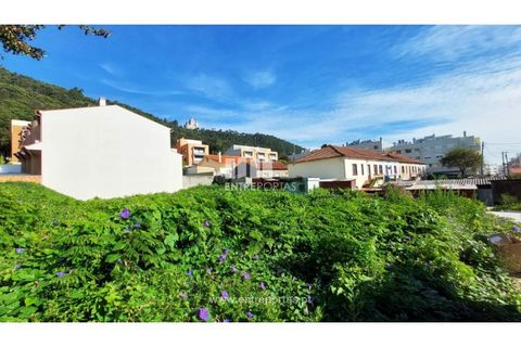 Terra a Areosa, Viana do Castelo, Areosa - € 78.000 | Ref: VCM13448 - foto 5