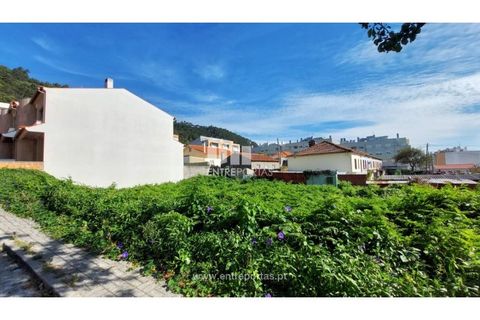 Terra a Areosa, Viana do Castelo, Areosa - € 78.000 | Ref: VCM13448 - foto 11