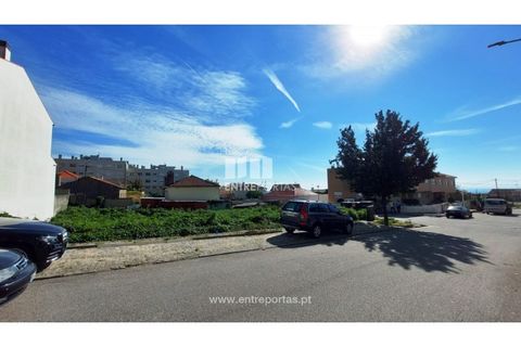 Terra a Areosa, Viana do Castelo, Areosa - € 78.000 | Ref: VCM13448 - foto 15