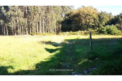 Helårsgrund i Viana do Castelo, Viana do Castelo, Viana do Castelo - € 200.000 | Ref: VCM13479 - foto 1