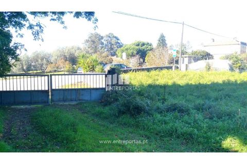 Helårsgrund i Viana do Castelo, Viana do Castelo, Viana do Castelo - € 200.000 | Ref: VCM13479 - foto 2
