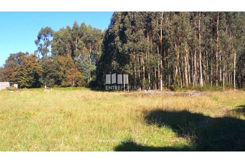Helårsgrund i Viana do Castelo, Viana do Castelo, Viana do Castelo - € 200.000 | Ref: VCM13479 - foto 3