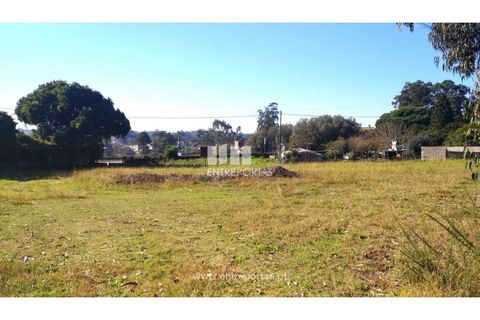 Helårsgrund i Viana do Castelo, Viana do Castelo, Viana do Castelo - € 200.000 | Ref: VCM13479 - foto 5