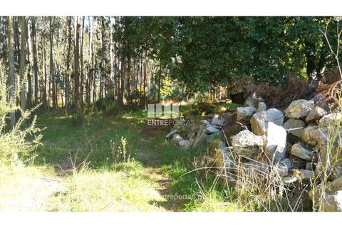 Helårsgrund i Viana do Castelo, Viana do Castelo, Viana do Castelo - € 200.000 | Ref: VCM13479 - foto 6