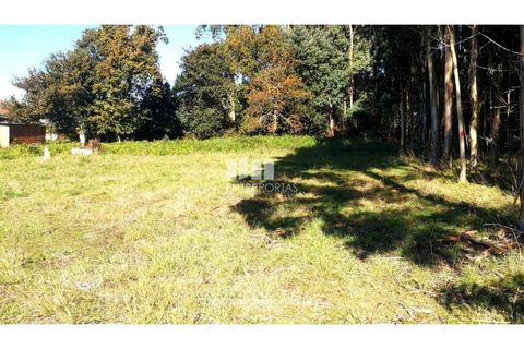 Helårsgrund i Viana do Castelo, Viana do Castelo, Viana do Castelo - € 200.000 | Ref: VCM13479 - foto 10