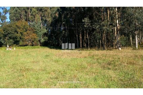 Helårsgrund i Viana do Castelo, Viana do Castelo, Viana do Castelo - € 200.000 | Ref: VCM13479 - foto 12