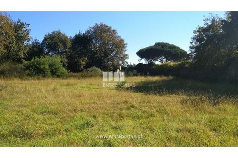 Helårsgrund i Viana do Castelo, Viana do Castelo, Viana do Castelo - € 200.000 | Ref: VCM13479 - foto 13