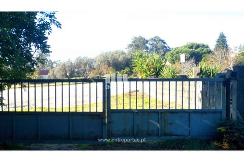 Helårsgrund i Viana do Castelo, Viana do Castelo, Viana do Castelo - € 200.000 | Ref: VCM13479 - foto 16