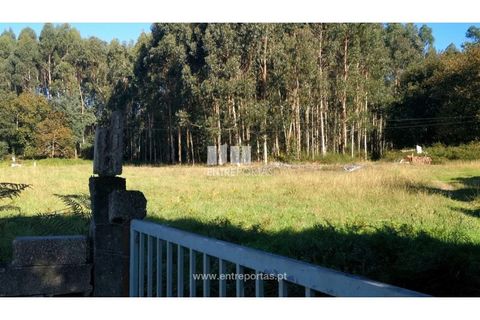 Helårsgrund i Viana do Castelo, Viana do Castelo, Viana do Castelo - € 200.000 | Ref: VCM13479 - foto 17