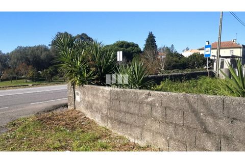 Helårsgrund i Viana do Castelo, Viana do Castelo, Viana do Castelo - € 200.000 | Ref: VCM13479 - foto 19