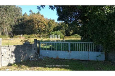 Helårsgrund i Viana do Castelo, Viana do Castelo, Viana do Castelo - € 200.000 | Ref: VCM13479 - foto 20