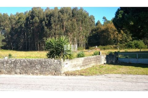 Helårsgrund i Viana do Castelo, Viana do Castelo, Viana do Castelo - € 200.000 | Ref: VCM13479 - foto 21