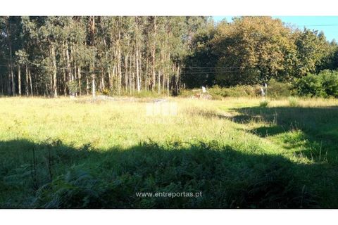 Helårsgrund i Viana do Castelo, Viana do Castelo, Viana do Castelo - € 200.000 | Ref: VCM13479 - foto 25