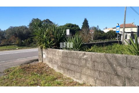 Helårsgrund i Viana do Castelo, Viana do Castelo, Viana do Castelo - € 200.000 | Ref: VCM13479 - foto 26