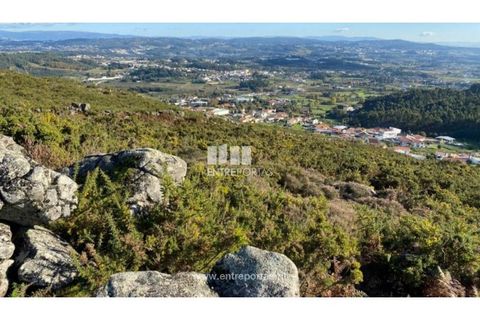 Helårsgrund i Figueiras e Covas, Porto, Figueiras e Covas - € 187.500 | Ref: MC09266 - foto 3