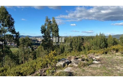 Helårsgrund i Figueiras e Covas, Porto, Figueiras e Covas - € 187.500 | Ref: MC09266 - foto 6
