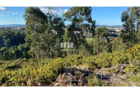 Helårsgrund i Figueiras e Covas, Porto, Figueiras e Covas - € 187.500 | Ref: MC09266 - foto 8