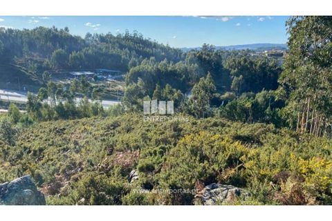 Helårsgrund i Figueiras e Covas, Porto, Figueiras e Covas - € 187.500 | Ref: MC09266 - foto 9